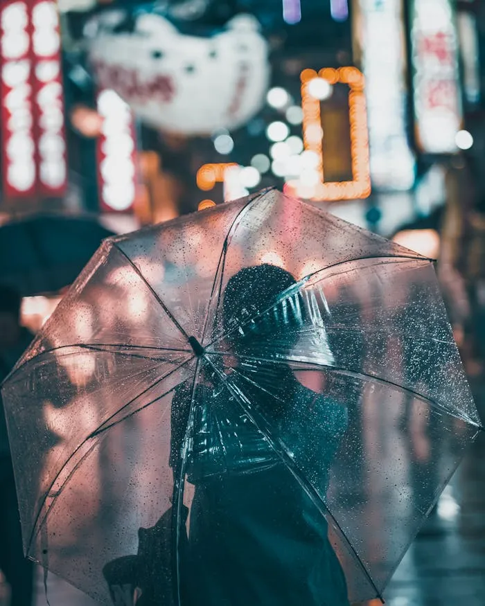 Person walking with a black umbrella in the rain