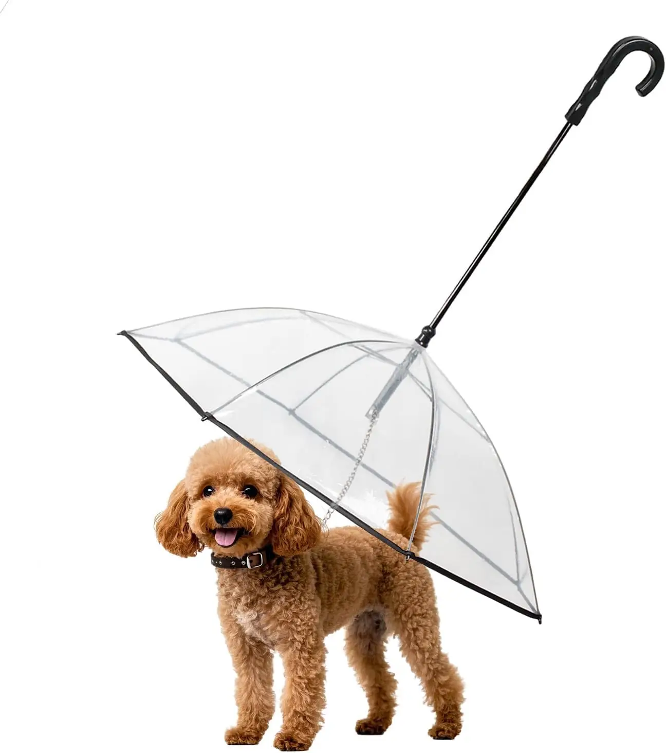 Namsan Clear Dog Umbrella small dogs leash metal chain adjustable