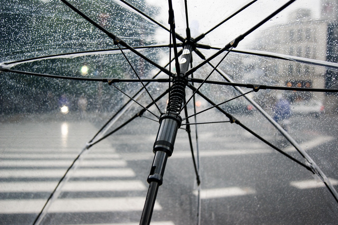 umbrella, rain, wet, weather, cold, raindrops, clear umbrella, city, nature, crosswalk, storm, rainy, parasol, water